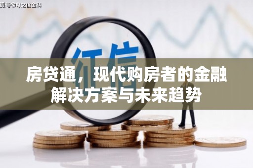 维西房贷通，现代购房者的金融解决方案与未来趋势