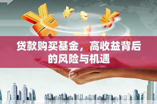 维西贷款购买基金，高收益背后的风险与机遇