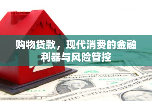 维西购物贷款，现代消费的金融利器与风险管控