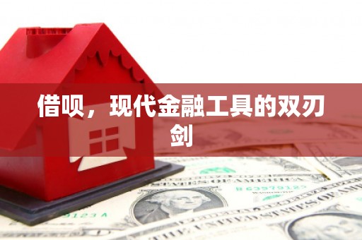 维西借呗，现代金融工具的双刃剑