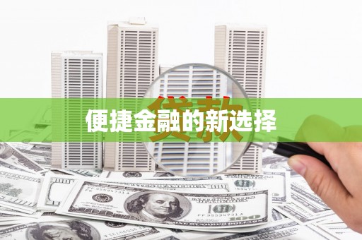 维西便捷金融的新选择