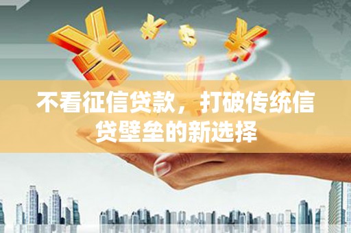 维西不看征信贷款，打破传统信贷壁垒的新选择