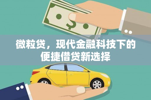 维西微粒贷，现代金融科技下的便捷借贷新选择