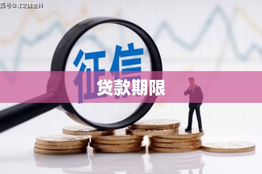 维西贷款期限