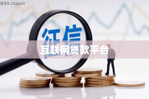 维西互联网贷款平台