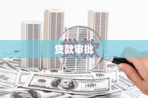 维西贷款审批