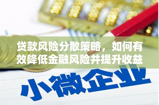 维西贷款风险分散策略，如何有效降低金融风险并提升收益