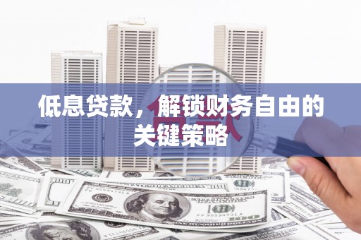 维西低息贷款，解锁财务自由的关键策略