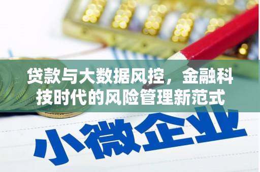 维西贷款与大数据风控，金融科技时代的风险管理新范式