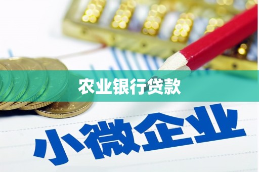 维西农业银行贷款