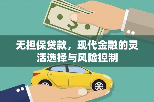 维西无担保贷款，现代金融的灵活选择与风险控制