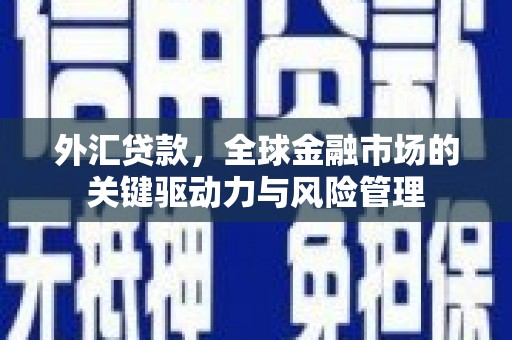 维西外汇贷款，全球金融市场的关键驱动力与风险管理