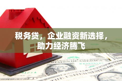 维西税务贷，企业融资新选择，助力经济腾飞