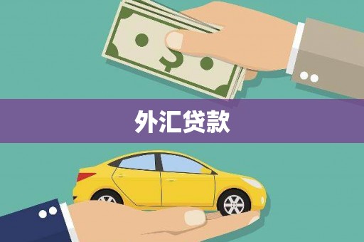 维西外汇贷款