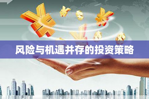 维西风险与机遇并存的投资策略