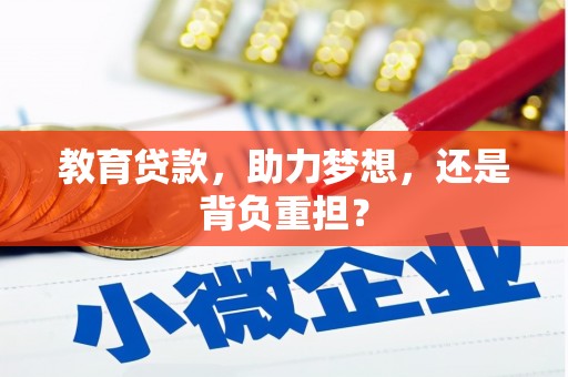 维西教育贷款，助力梦想，还是背负重担？