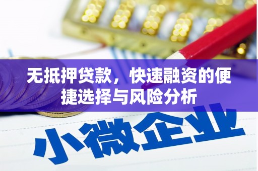 维西无抵押贷款，快速融资的便捷选择与风险分析