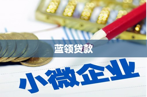 维西蓝领贷款