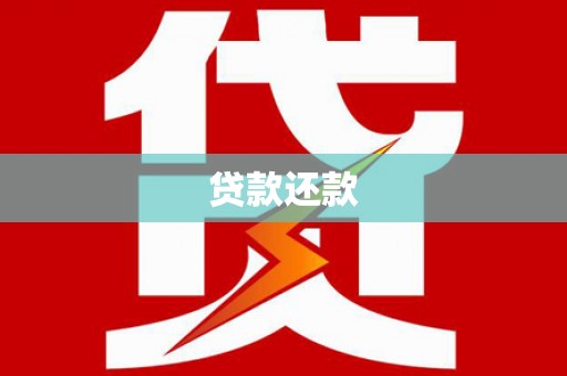 维西贷款还款
