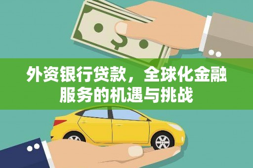 维西外资银行贷款，全球化金融服务的机遇与挑战