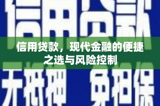 维西信用贷款，现代金融的便捷之选与风险控制