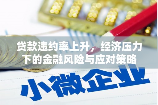 维西贷款违约率上升，经济压力下的金融风险与应对策略