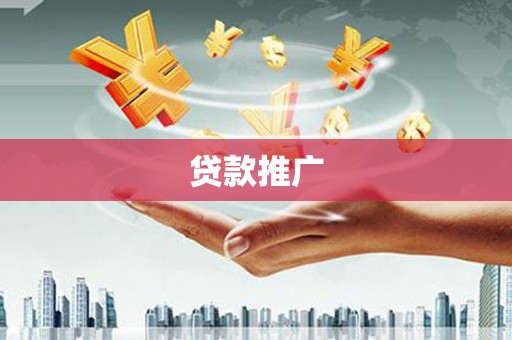维西贷款推广