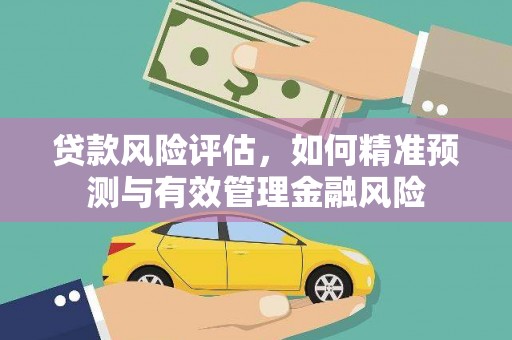 维西贷款风险评估，如何精准预测与有效管理金融风险