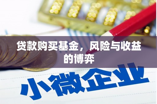 维西贷款购买基金，风险与收益的博弈