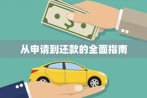 维西从申请到还款的全面指南