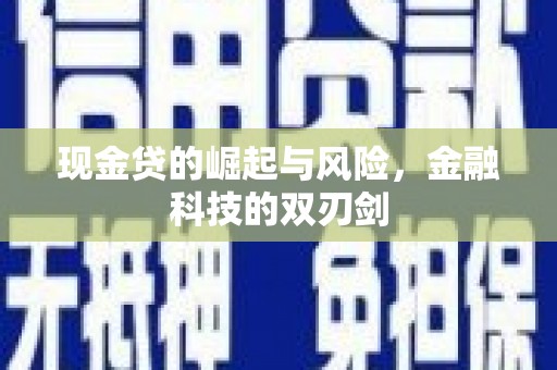 维西现金贷的崛起与风险，金融科技的双刃剑