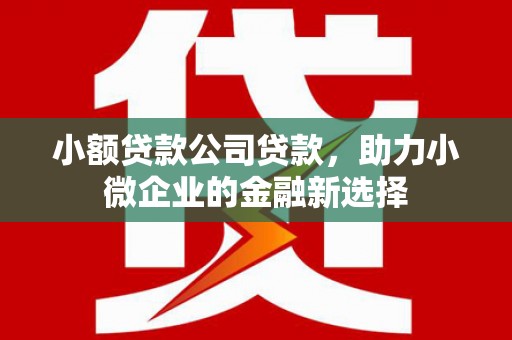 维西小额贷款公司贷款，助力小微企业的金融新选择