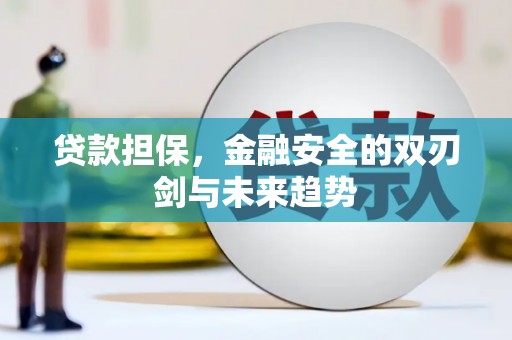 维西贷款担保，金融安全的双刃剑与未来趋势