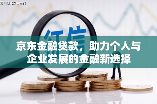 维西京东金融贷款，助力个人与企业发展的金融新选择