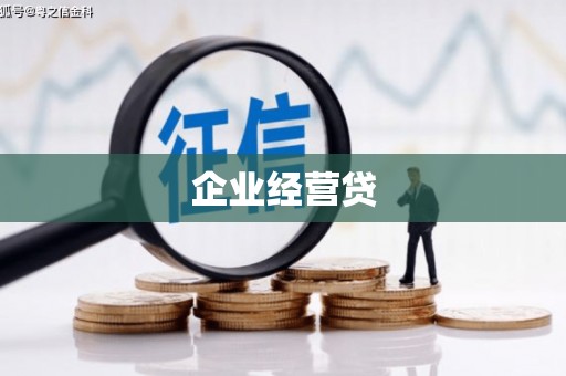 维西企业经营贷