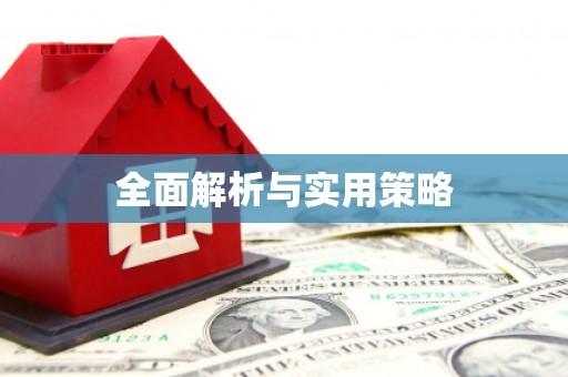 维西全面解析与实用策略