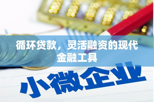维西循环贷款，灵活融资的现代金融工具