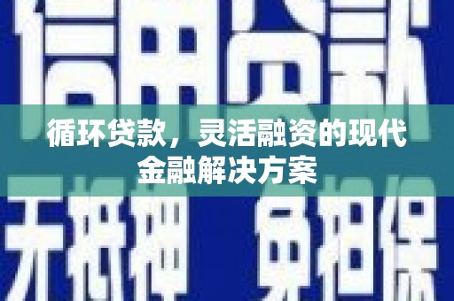 维西循环贷款，灵活融资的现代金融解决方案