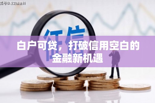 维西白户可贷，打破信用空白的金融新机遇