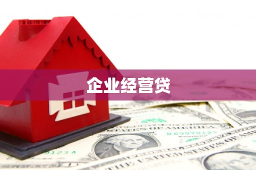 维西企业经营贷