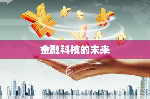 维西金融科技的未来