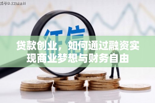 维西贷款创业，如何通过融资实现商业梦想与财务自由