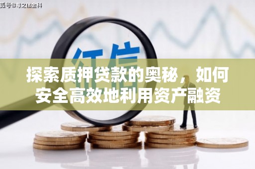 维西探索质押贷款的奥秘，如何安全高效地利用资产融资