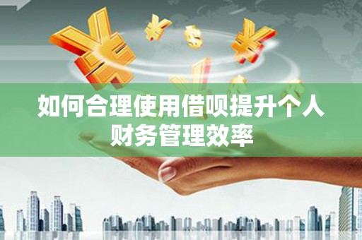 维西如何合理使用借呗提升个人财务管理效率