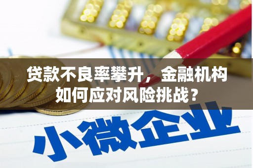 维西贷款不良率攀升，金融机构如何应对风险挑战？