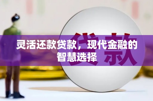 维西灵活还款贷款，现代金融的智慧选择