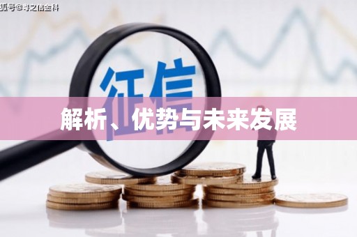 维西解析、优势与未来发展