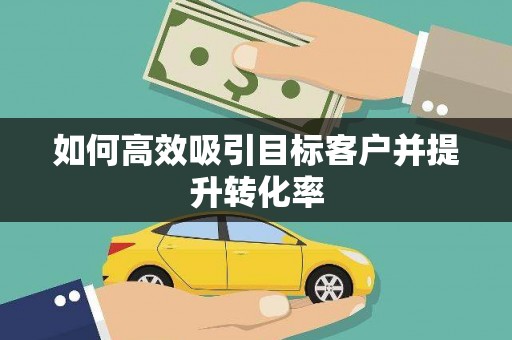 维西如何高效吸引目标客户并提升转化率