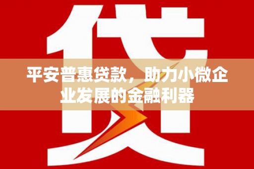 维西平安普惠贷款，助力小微企业发展的金融利器