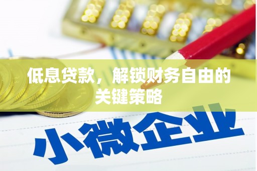 维西低息贷款，解锁财务自由的关键策略